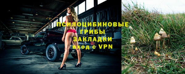твердый Белоозёрский