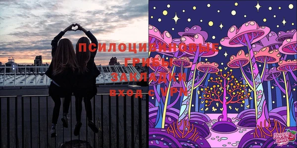 твердый Белоозёрский